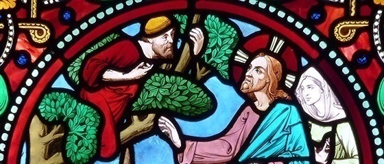 Image result for Zacchaeus