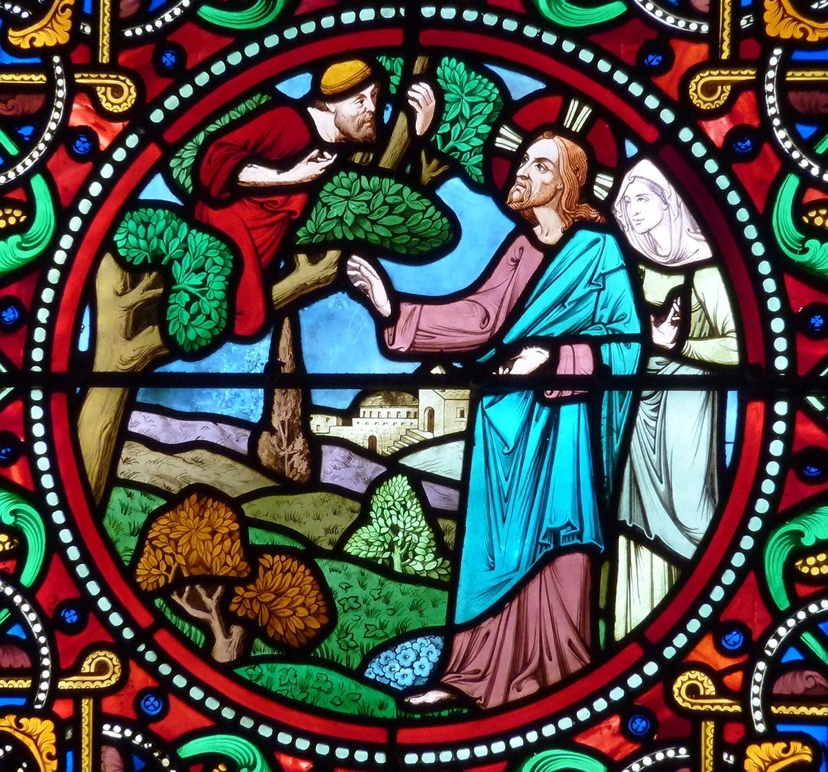 Image result for zacchaeus